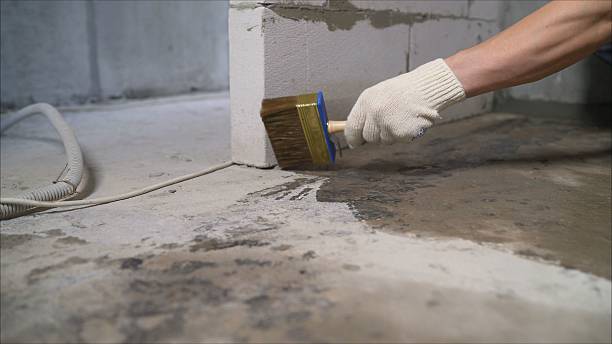 SJ Waterproofing Pros Waterproofing coverage map for Petros, TN and surrounding area